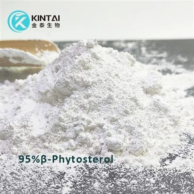 Ren Beta Sitosterol