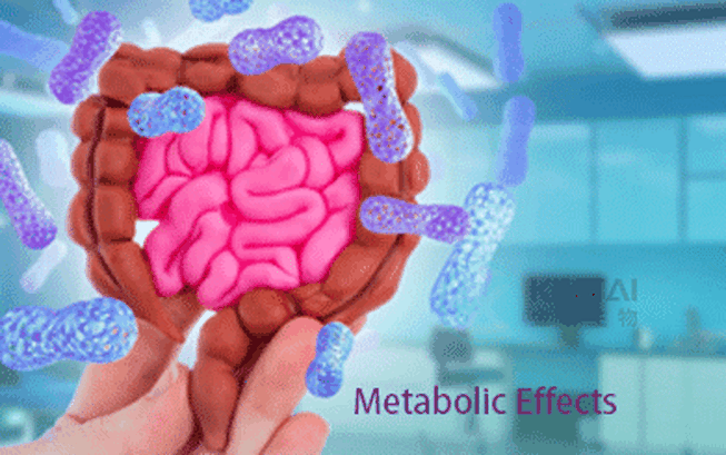 Metabolic Effects Of Ampelopsin Metabolic Effects Of Ampelopsin